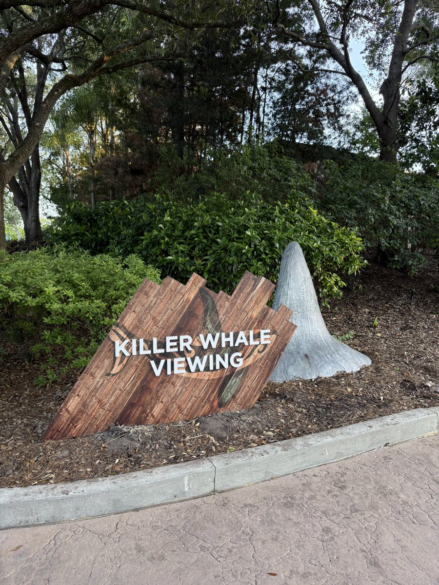 ThemePark_Dan's tweet photo. The killer whale viewing area has also been updated with new theming and signage https://t.co/IcqmmXvgN9