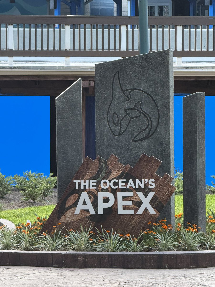 ThemePark_Dan's tweet photo. The killer whale viewing area has also been updated with new theming and signage https://t.co/IcqmmXvgN9