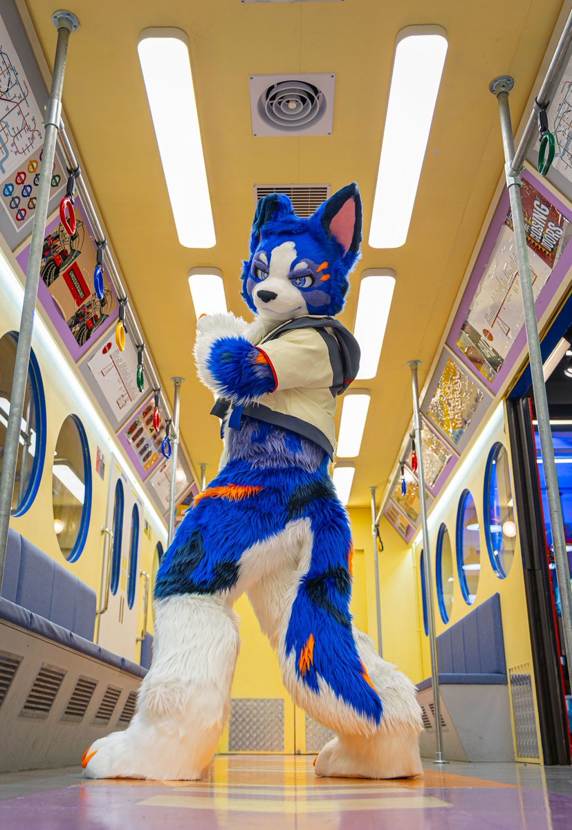 gas6723's tweet photo. 난 멋져~ 😎
#FursuitEveryday https://t.co/IS9NHG7vWy