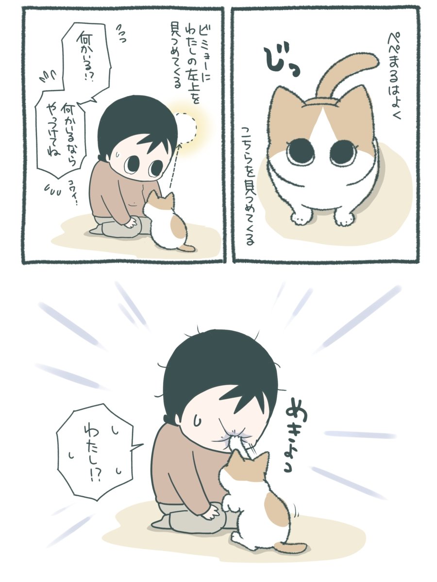 neekonoo's tweet photo. ゴースト(？)バスターぺぺまる😸 https://t.co/hbpgd22Zh9