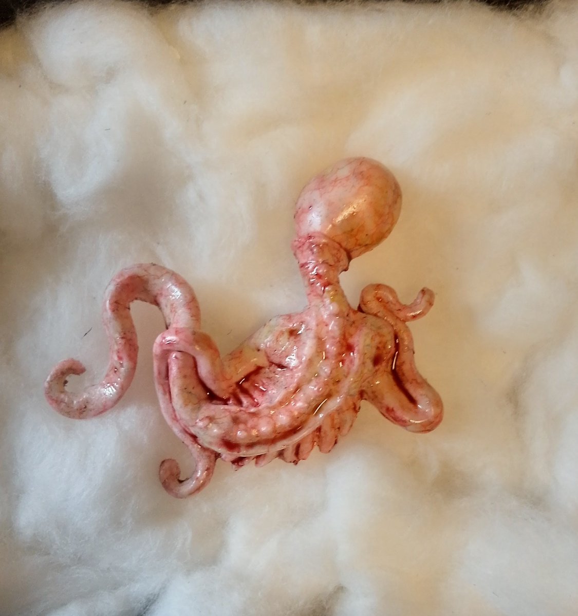 RT @k04995946: 早朝の散歩中に拾った不明生物
