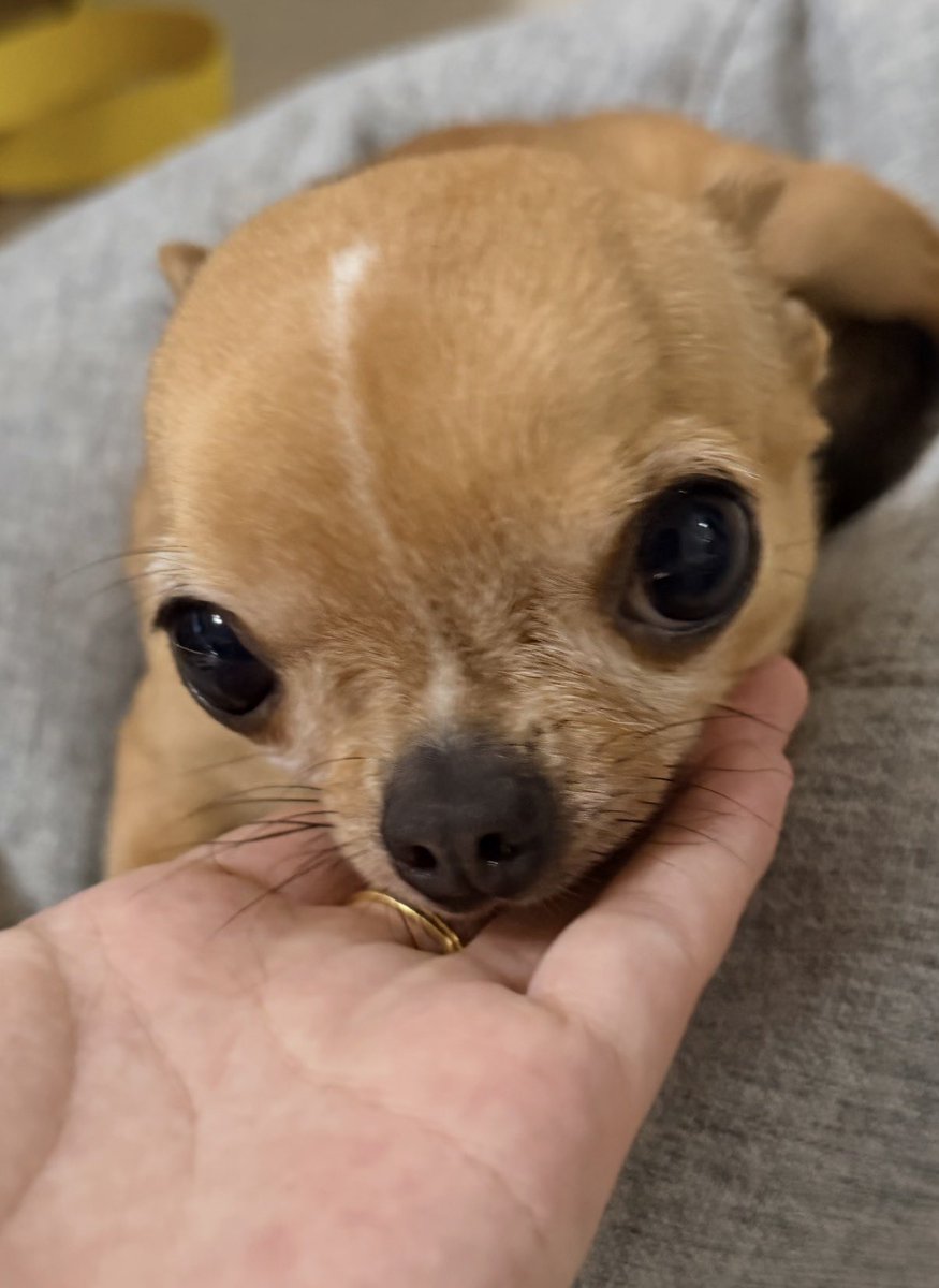 twaniimals's tweet photo. https://t.co/baGL9nt2LD