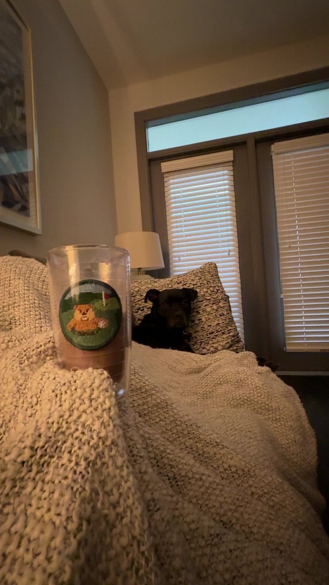 skipdripbayless's tweet photo. Sunday couch rot with the hound. Hard to beat. https://t.co/AaHMp7Rvss