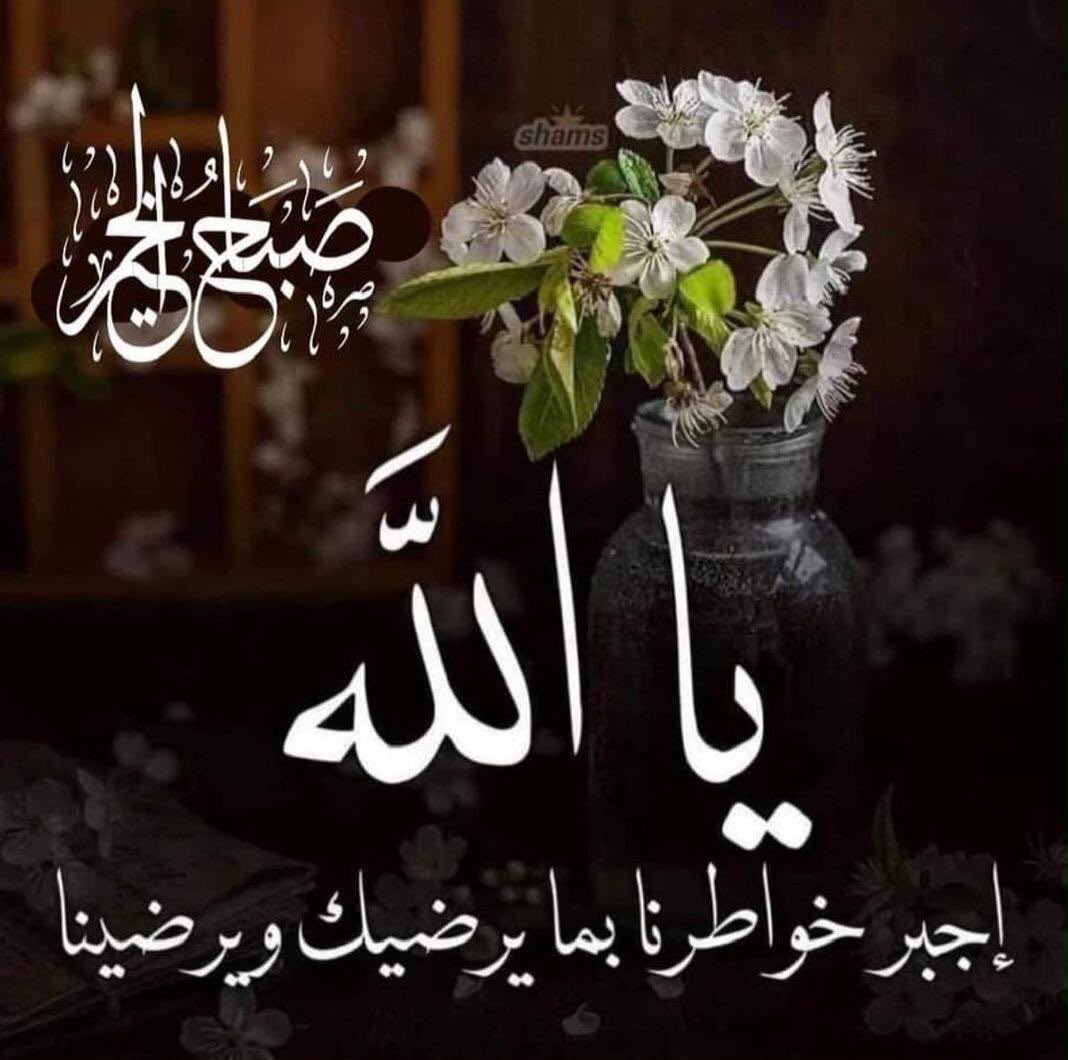 ep45o's tweet photo. 🌳اللهم اجبر خواطرنا جبراً أنت وليه واغمرنا بعفوك واعطنا سؤلنا وأسعد قلوبنا 
🌳اللهم إنا نحتسب يومنا هذا لوجهك الكريم https://t.co/zCMKgfaz1w