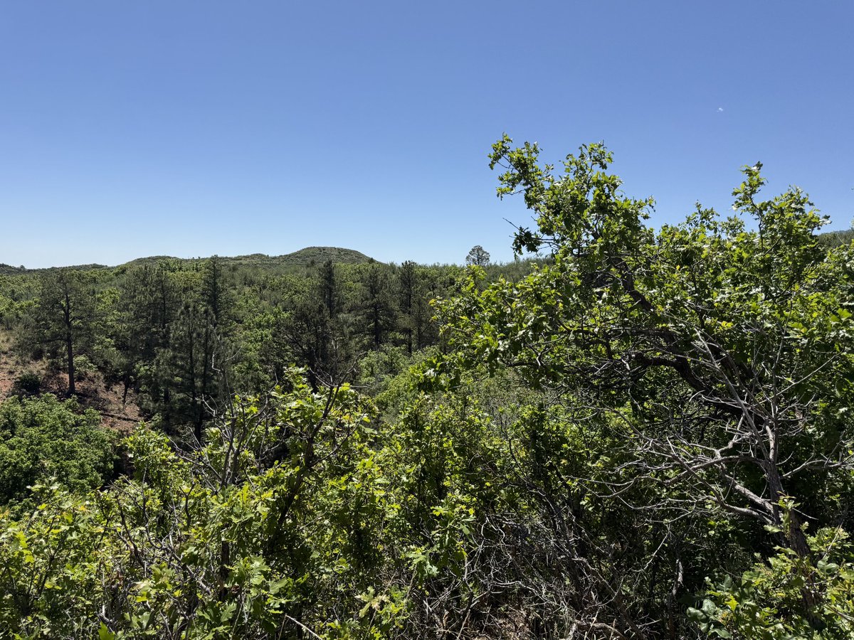 YeenBytes's tweet photo. I love Colorado because what do you mean this is ~20 minutes from the house and we get to get up and go for a random hike on a Sunday 

We are going for an 8 hour hike next week (scary) https://t.co/4oIdS7eFIl