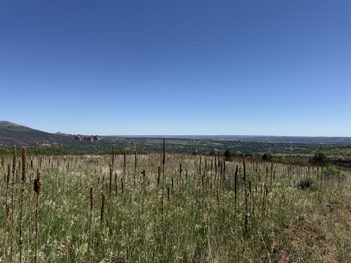 YeenBytes's tweet photo. I love Colorado because what do you mean this is ~20 minutes from the house and we get to get up and go for a random hike on a Sunday 

We are going for an 8 hour hike next week (scary) https://t.co/4oIdS7eFIl