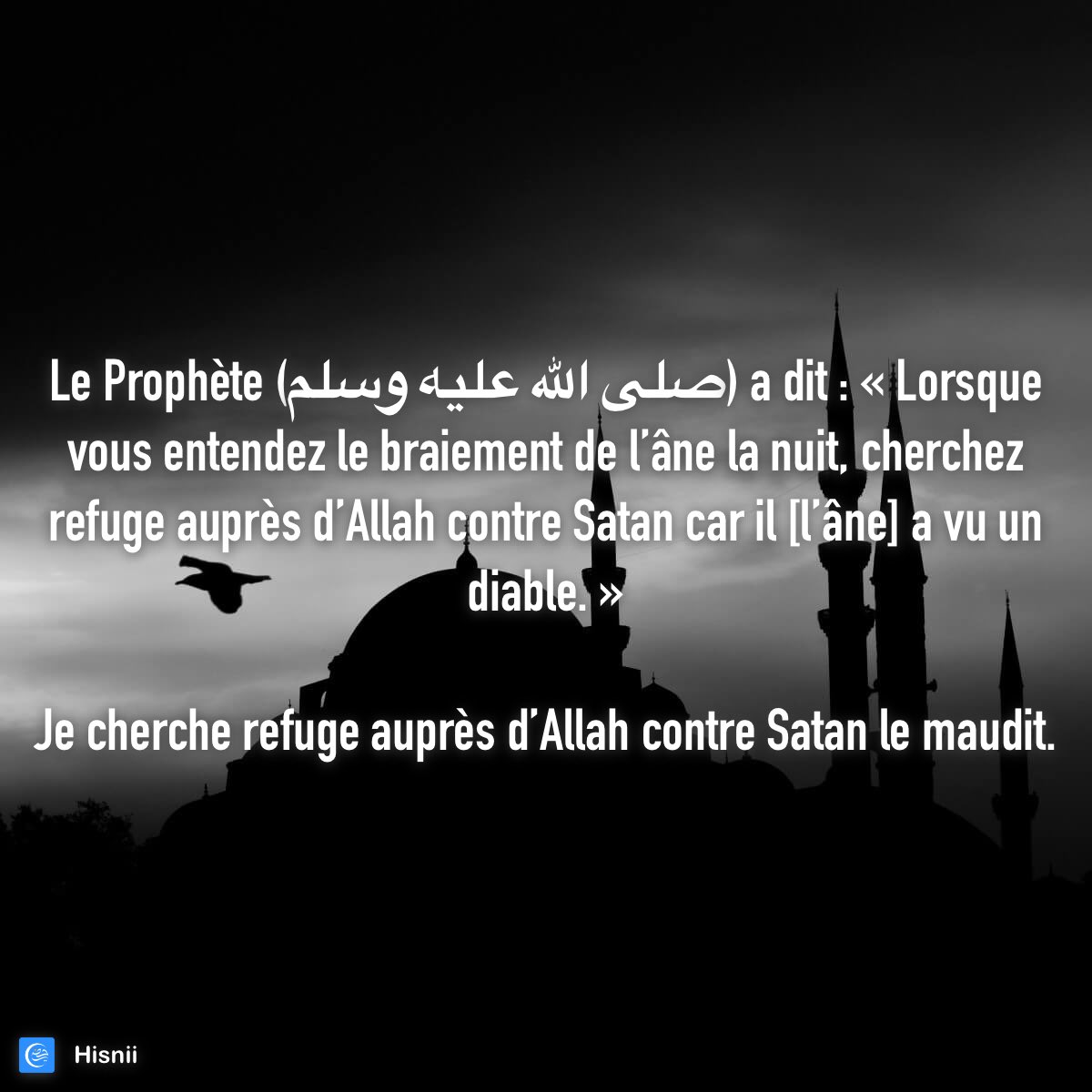 Barkad49's tweet photo. https://t.co/3nDlB5dxYt