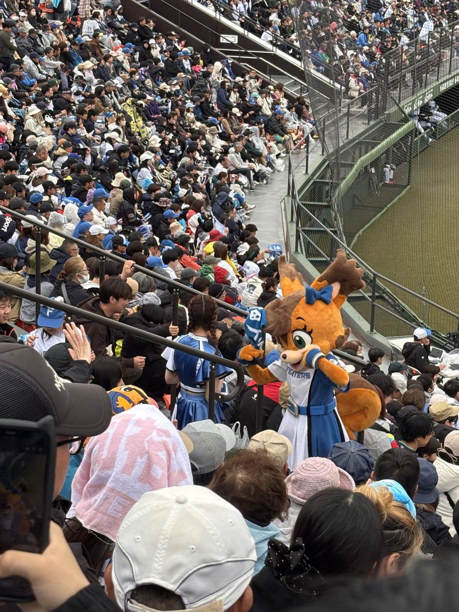 02cabaNon's tweet photo. 昨日は釧路にファイターズ2軍のゲームを観に行ってきたよ！
霧雨まじりの寒さ
でも試合は熱かった🏟️
古林 睿煬
柴田獅子　　
玉井大翔
齋藤 友貴哉
水谷、今川、上川畑
ポリーも来てた
みーんな良かったよー✨✨
そして対戦相手oisix新潟に懐かしい選手が‼️
DH陽岱鋼‼️
相変わらずカッコよかったわ🤭 https://t.co/etcOEp54Qn