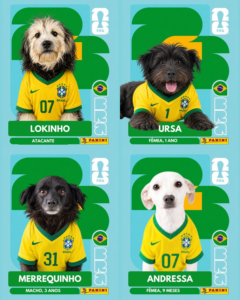 sboficial's tweet photo. Doguinhos da ONG Vem Adotar ganham ensaio fotográfico inspirado nas figurinhas da Copa do Mundo.
