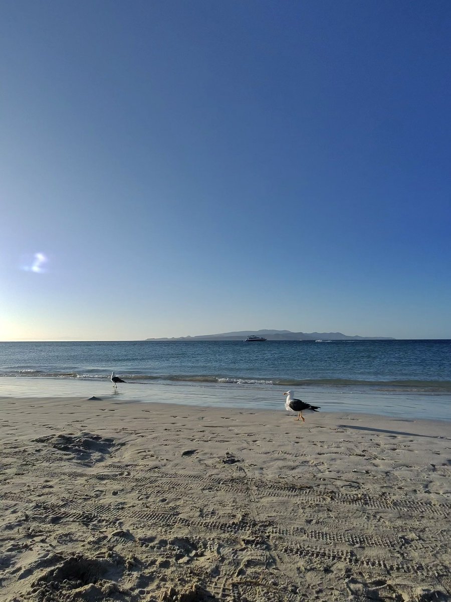 lachiplee's tweet photo. 🌊 https://t.co/E3kyhOqkWa