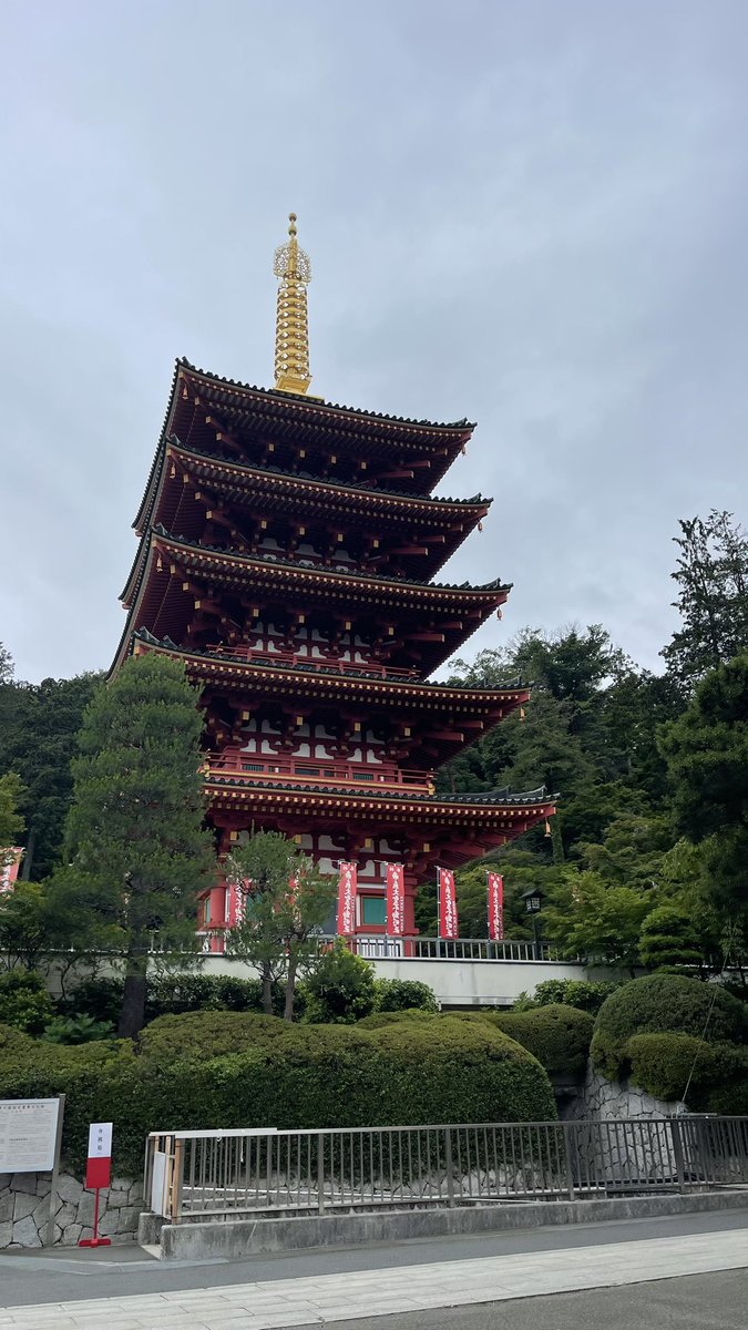 itou_sw's tweet photo. ここ数年大事なレース前にアクシデントが多すぎるので高幡不動尊にてお祓い。

また自転車乗りたくなってきたし多分この趣味はやめられないと思った。

骨折治ったらまた頑張ろう。紫陽花綺麗だったなー。これでもまだ満開ではないらしい。 https://t.co/KKmVgHqaYO
