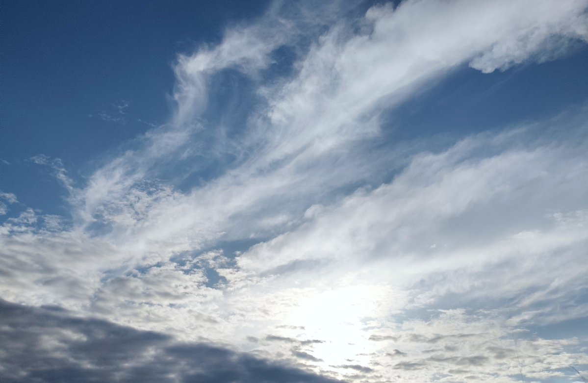 pUdf605sosTkWmX's tweet photo. また１週間が始まりました
今日は久し振りの青空が
見えて気持がいいです😊
ずっと曇天と雨が
続いていたので嬉しい
予報は雲のち夕方から雨
昨日中止になった甲子園
今日はできるのか？

あなたにも あの子たち
にも良い１週間に
なりますように✨

♡そっとエール https://t.co/qAuDiE21Hc