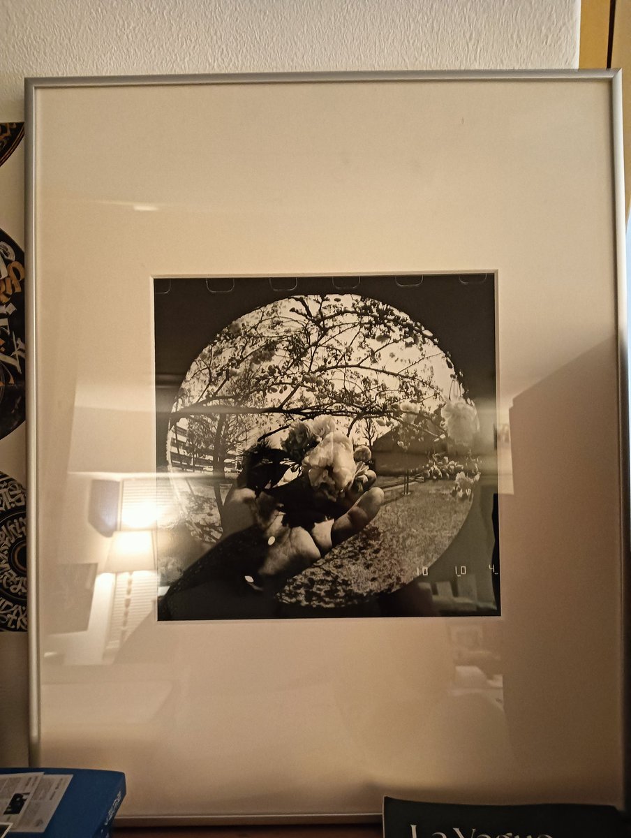 soukobooks's tweet photo. 野々歩さんからは、志郎康さんの「眉宇の半球」の表紙に使われた写真もお預かりしています。 https://t.co/WsgHovSdgv