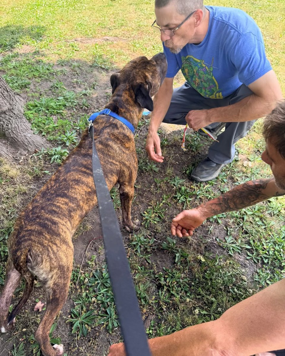 notthesameone2's tweet photo. Champion is out of the shelter ❤️ https://t.co/NXpwmZY8av