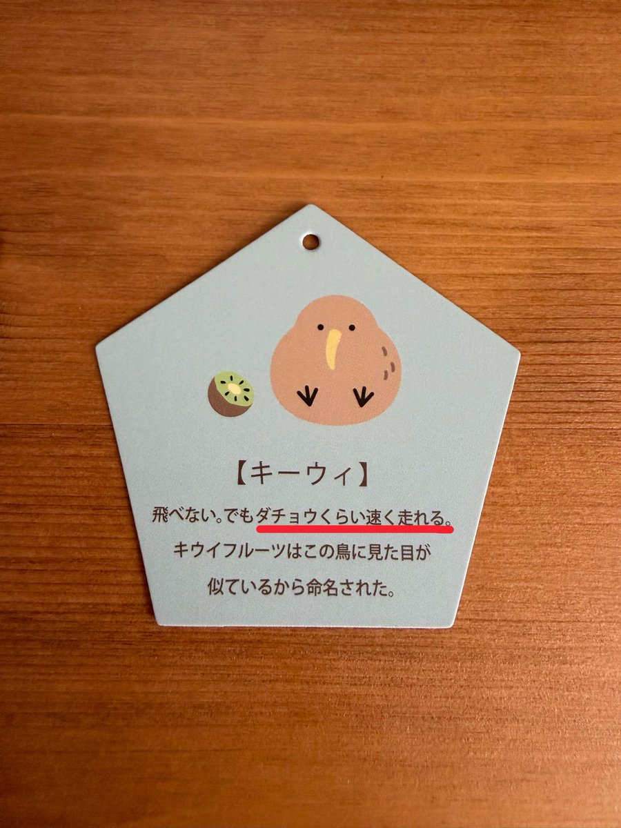 _unobox_'s tweet photo. キーウィ速く走れるの知らなかった https://t.co/gWuUFPCGr4