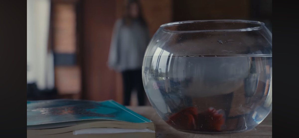 archivekjoy's tweet photo. agora que percebi que nessa primeira cena é os 7maridos de evelyn hugo 😭😭😭😭😭😭😭😭 https://t.co/Is7LlX2AxT