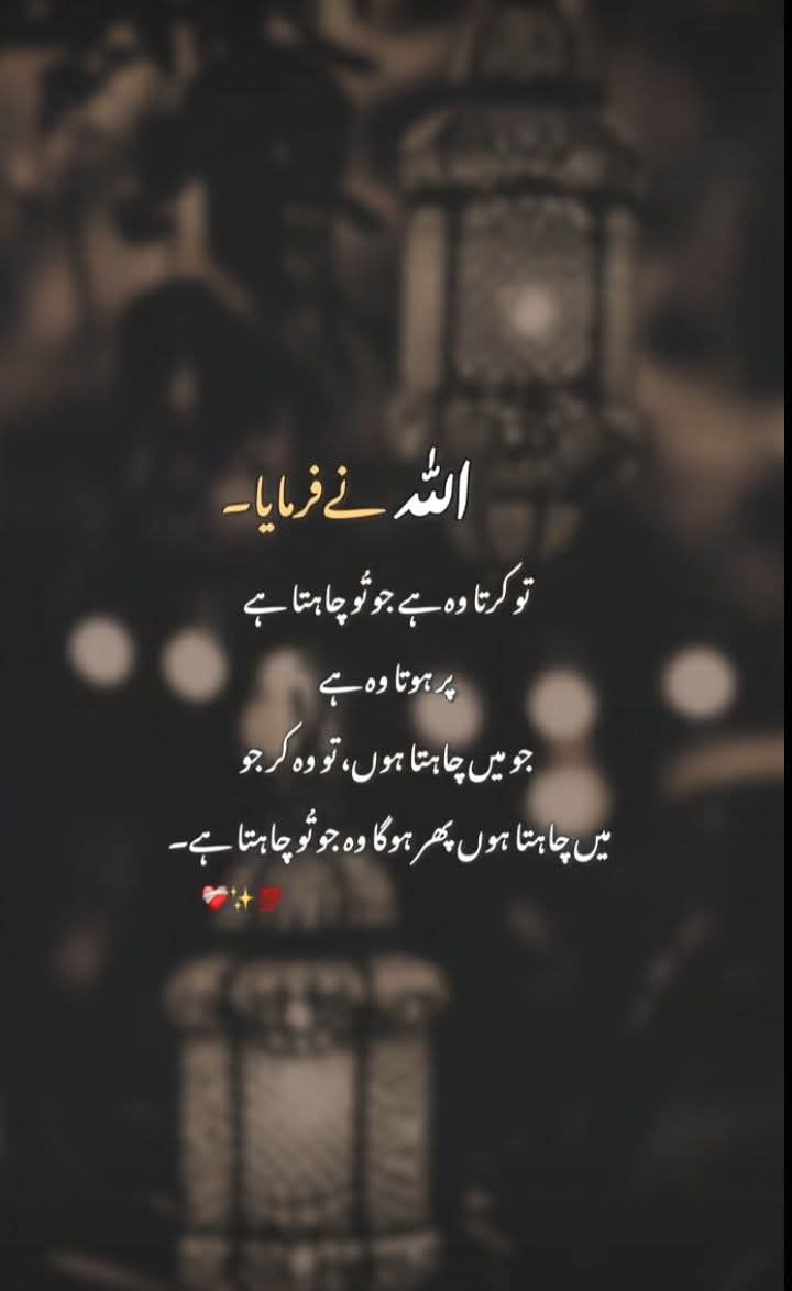 ⭐ GULNAZ TANOLI ⭐ tweet media