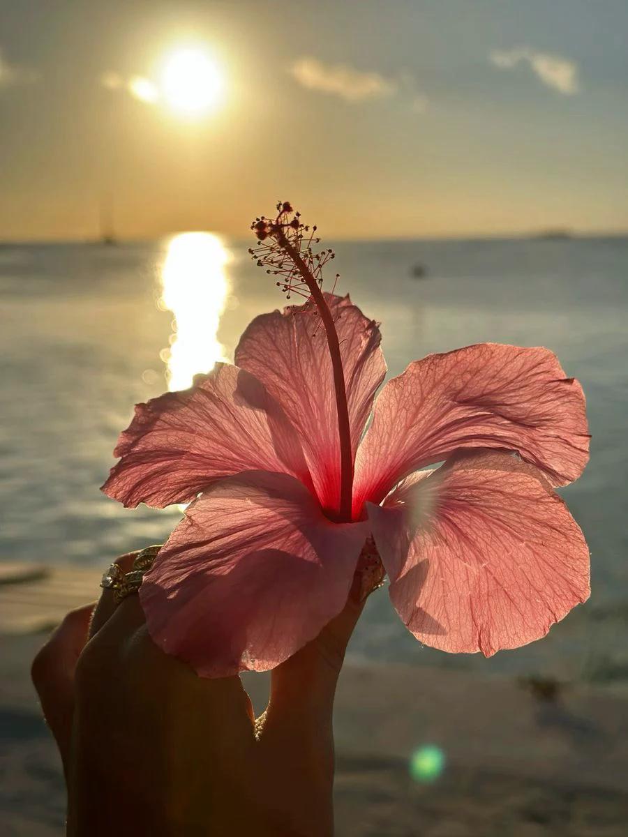 cutedreamvibes's tweet photo. https://t.co/ivdec6T6Xv