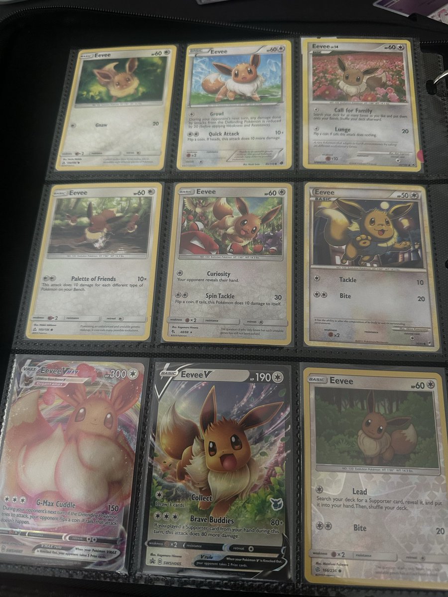 KuraiCh's tweet photo. my eevee collection is expanding https://t.co/RAfcWgezVx