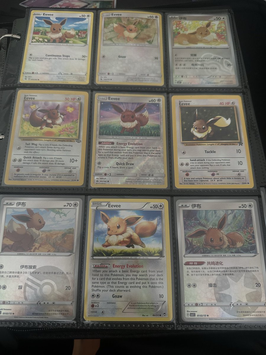 KuraiCh's tweet photo. my eevee collection is expanding https://t.co/RAfcWgezVx
