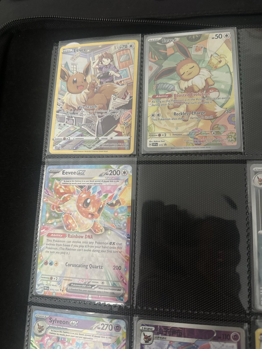 KuraiCh's tweet photo. my eevee collection is expanding https://t.co/RAfcWgezVx
