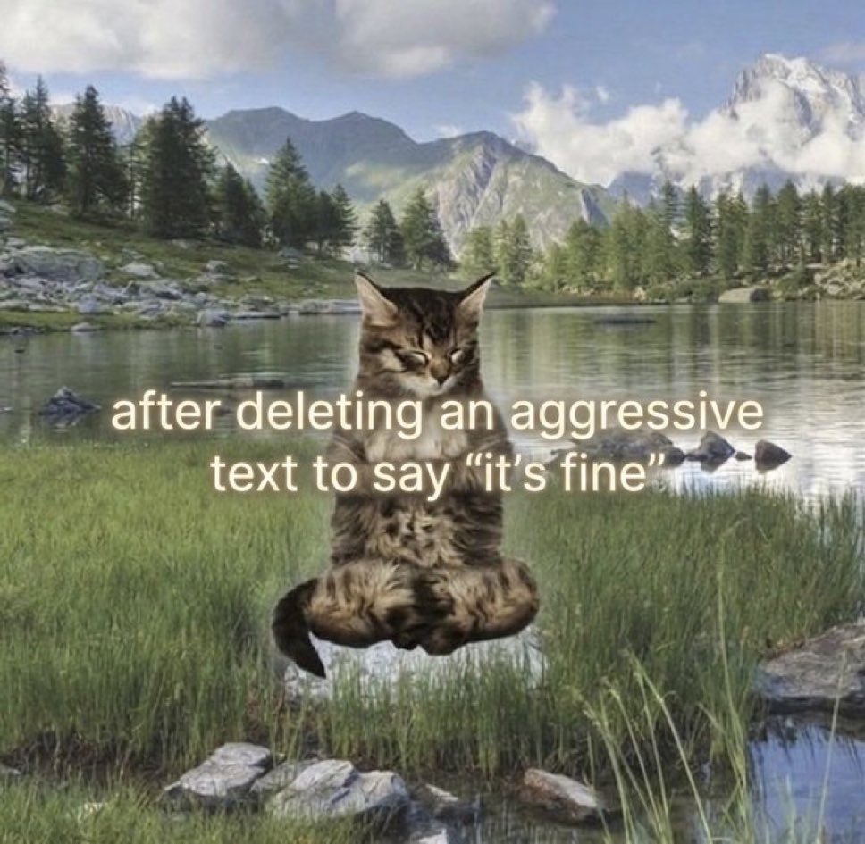 LiterallyMeCats tweet media