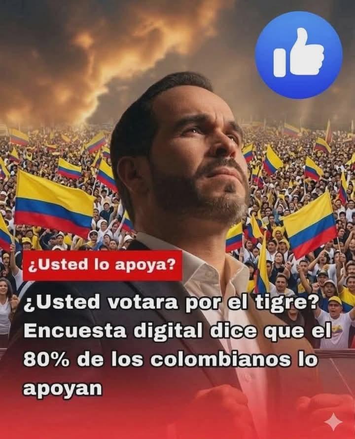 rodrigoposso's tweet photo. El 80% apoyan al tigre 🐯 Abelardo presidente de Colombia 🇨🇴🗳️🇨🇴💯💯💯💯💯💥💥💥💥💥 https://t.co/Y1ZWQr4ebV