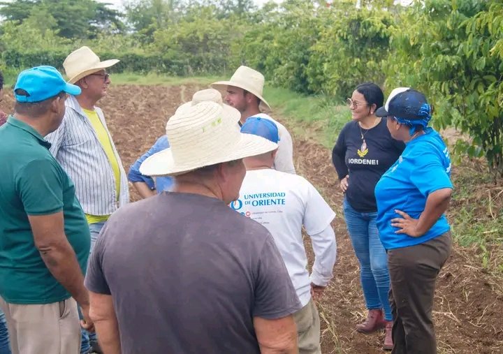 YanetsyTerry's tweet photo. Jóvenes que en #ProvinciaGranma emprenden desde su amor a la tierra, su trabajo cotidiano y arduo y su entrega. Así autoabastecen a su familia y contribuyen con ofertas a la población. #SíSePuede. @AsambleaCuba @PartidoPCC @PresidenciaCuba @GobiernoCuba @GobiernoGranma https://t.co/TEgkzm3J1N