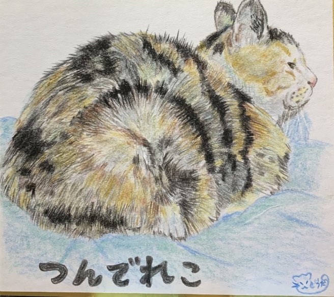 NEKOdo_dai's tweet photo. 本日は
名前呼んでも
知らん顔 https://t.co/P3IKgQMzKd