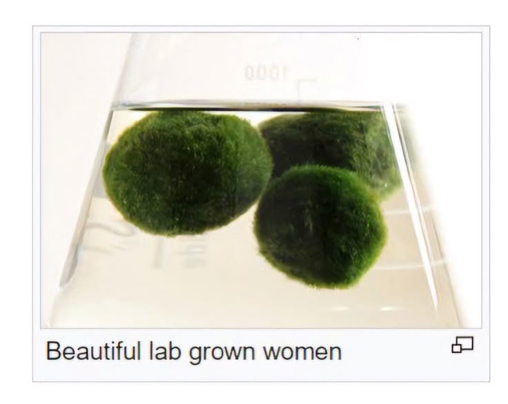 colligocritters's tweet photo. Science is so beautiful, we finally have lab grown moss women https://t.co/zfh75wJqLG