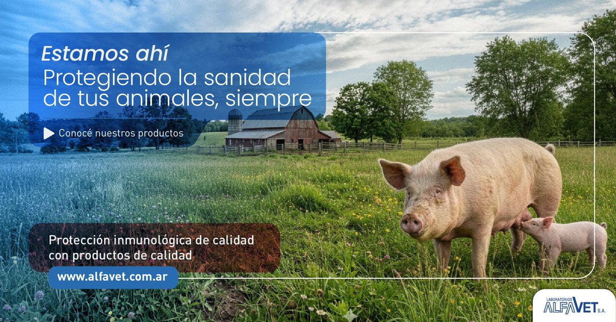 LAlfavet's tweet photo. Estamos ahí. Protegiendo a tus animales. Siempre.

Desarrollamos productos altamente calificados para proteger la inmunidad de tus animales.

Conoce todos nuestros productos y sus características en https://t.co/XvikbpuYth

#productos #calidad #salud #agroveterinaria #sanidad https://t.co/WBaN70J2kV