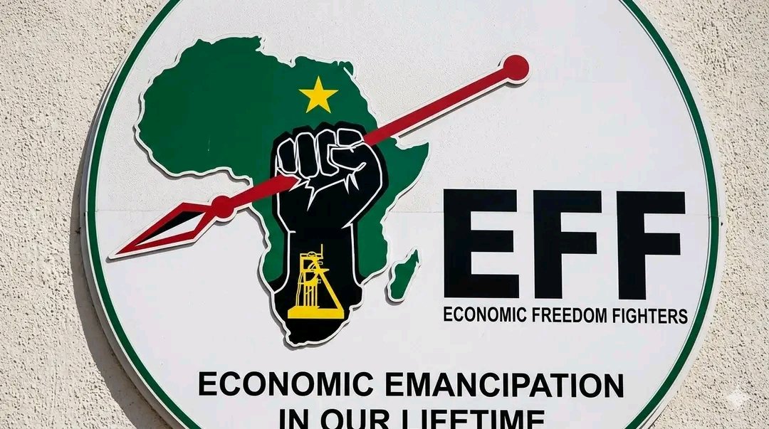 SeshMoo's tweet photo. #voteeff2026 https://t.co/xzzeFaK4yc