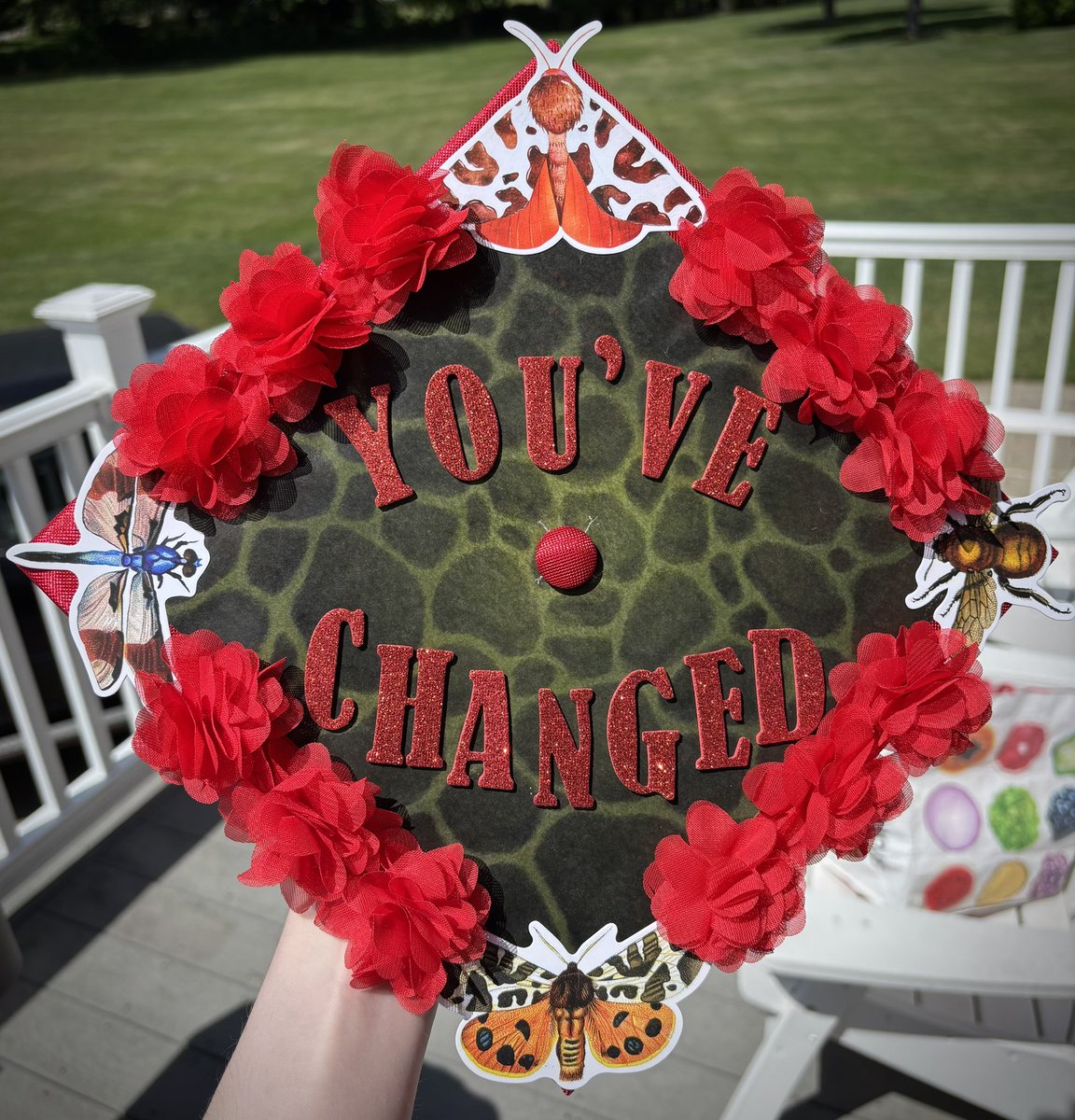 scatteredb0nes's tweet photo. just graduated gay highschool glad they didn’t find out i was a bug 🪲🪲🪲 

#jrwibitb https://t.co/LXr1XfIsGw