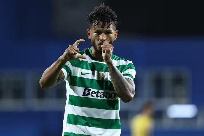 Sporting Cp Türkiye tweet media
