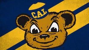 PrestonPitts29's tweet photo. BLESSED to receive an offer to Cal Berkeley!  #GoBears
@CoachLup @MWCherrington @dlinevids1 @BrandonHuffman @Rivals  @NickRolovich https://t.co/gGgzozRd3z