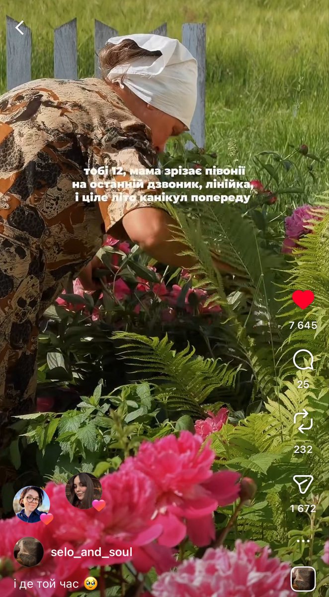 bloodstream23's tweet photo. Цей акаунт в інстаграмі змушує плакати за селом 💔💔💔💔 https://t.co/yhE6CuD0Ek