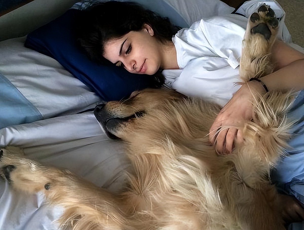 plaza71's tweet photo. Spent the evening curled up with my pup—nothing beats the quiet comfort of a furry friend after a long day.  #PetLove https://t.co/J2qIOddxYh