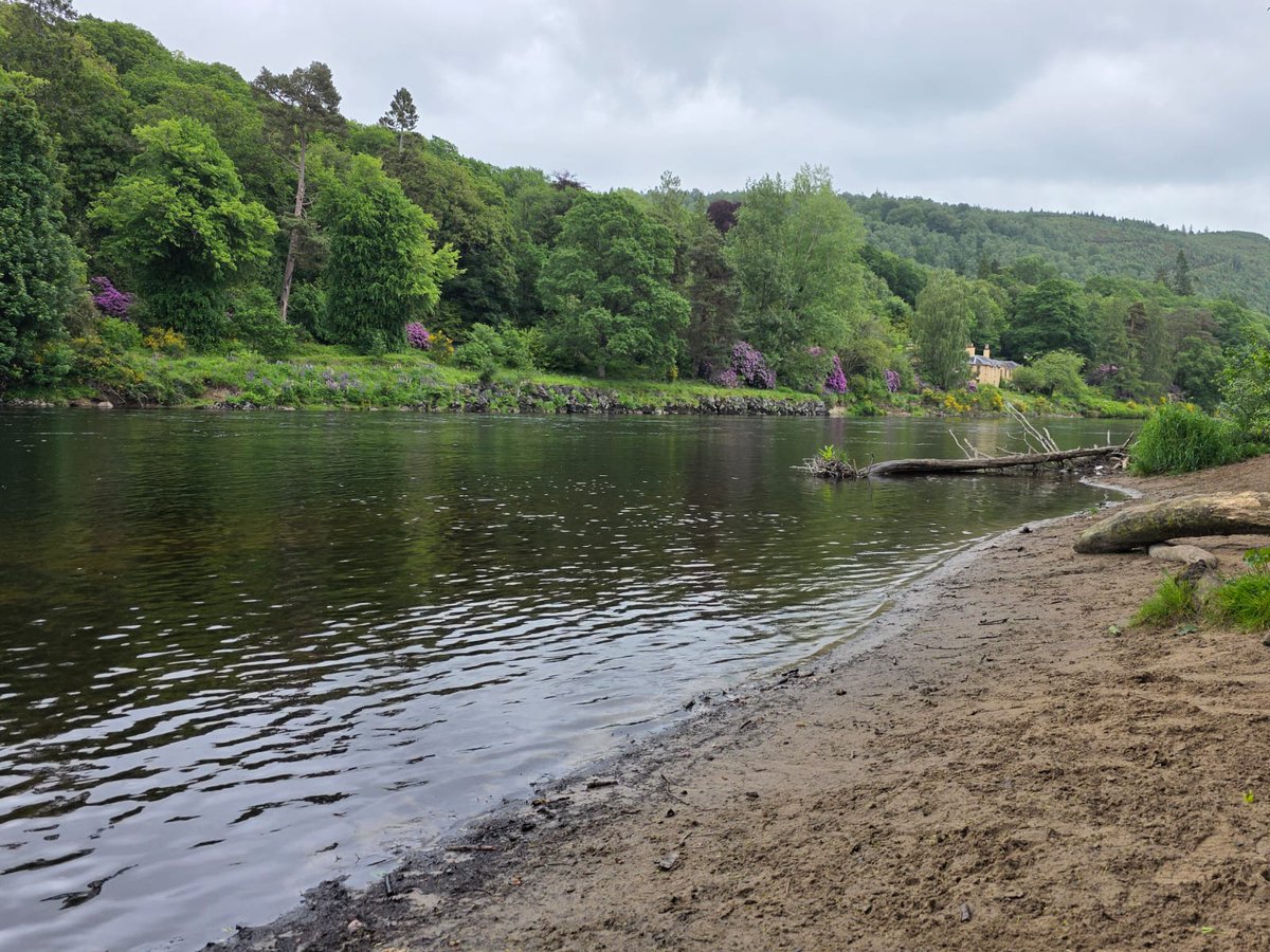misswolfi's tweet photo. River Tay, Birnam and Dunkeld https://t.co/08ZoaRMghW
