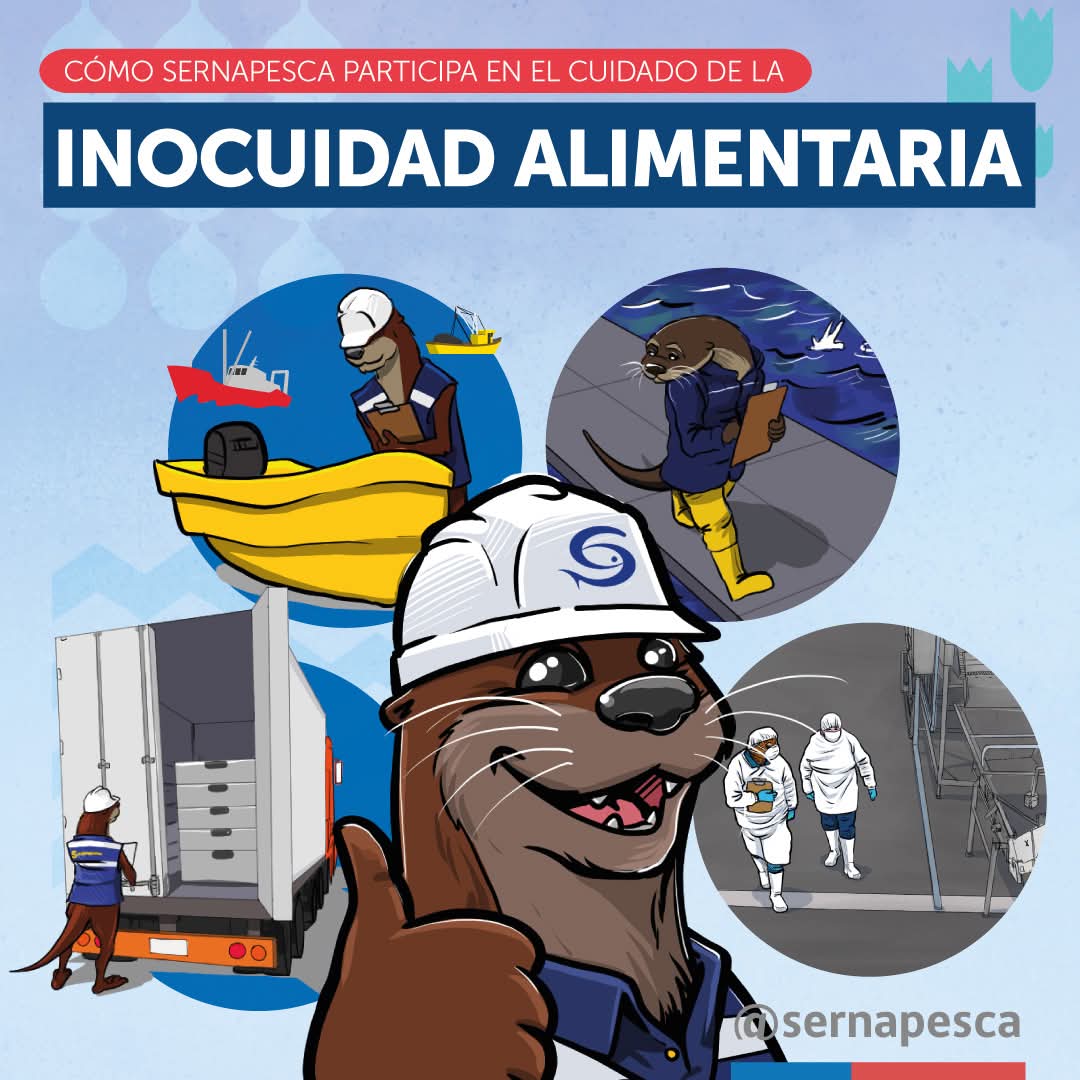 sernapesca's tweet photo. Hoy es el Día Mundial de la Inocuidad de los Alimentos y nuestra misión es velar por la seguridad alimentaria de los pescados y mariscos chilenos destinados a la exportación, asegurando el cumplimiento de la normativa nacional y de los mercados de destino. https://t.co/3xa7UzRCH6