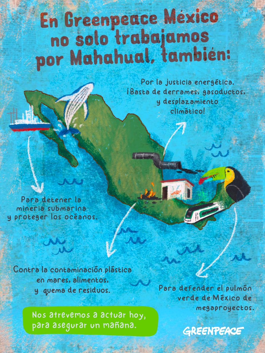greenpeacemx's tweet photo. En Greenpeace México tenemos muchas causas por las cuales trabajamos:
🆚 la contaminación plástica 
🆚los combustible fósiles 
🆚la minería submarina 
🆚proyectos inmobiliarios, de turismo e infraestructura invasiva.

🔸Sigue nuestro trabajo en https://t.co/9qg5UXNvbb https://t.co/XFklka9zsn