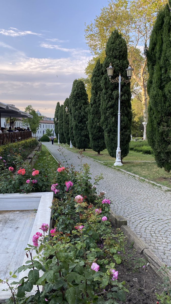 el_maim's tweet photo. İstanbul 🍃 https://t.co/Pmijd6vfbZ