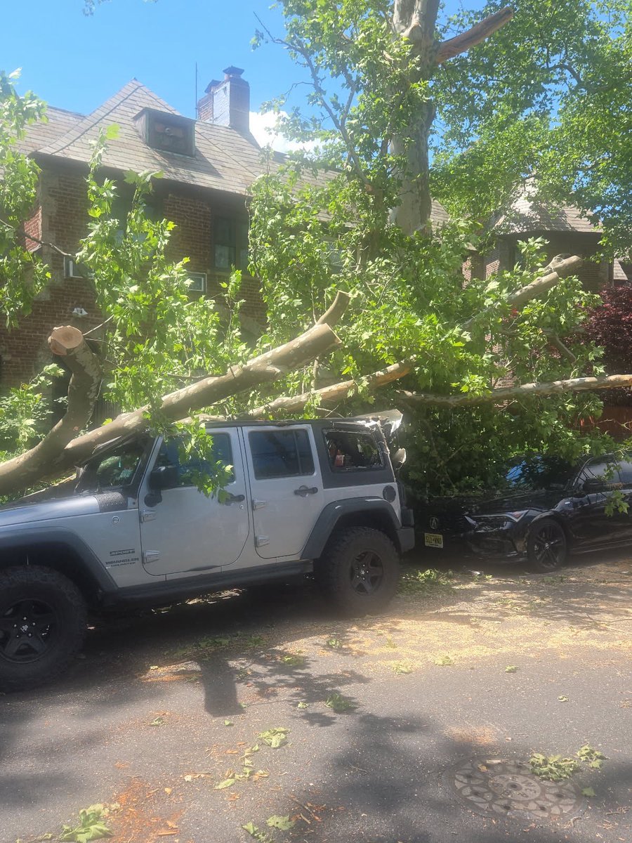 pg3_trinitybx's tweet photo. Already reported these major trees and power lines being down, but haven’t received any response or any action… when is this going to be taken care of?!?
@ConEdison @nyc311

Address: 1801 Seminole Ave, Bronx
@News12BX @ABC7 @NBCNewYork @CBSNewYork https://t.co/mTN3VIfYJR