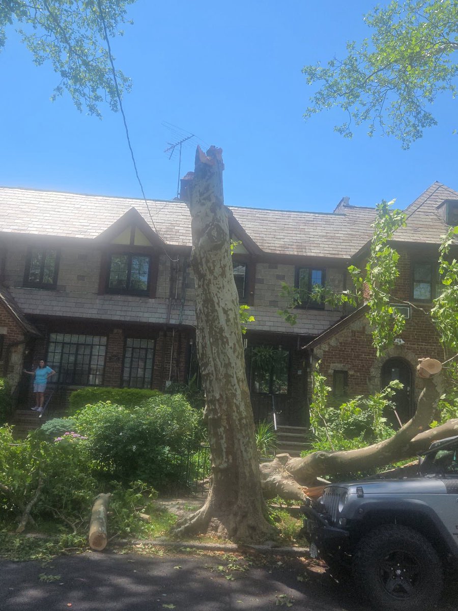 pg3_trinitybx's tweet photo. Already reported these major trees and power lines being down, but haven’t received any response or any action… when is this going to be taken care of?!?
@ConEdison @nyc311

Address: 1801 Seminole Ave, Bronx
@News12BX @ABC7 @NBCNewYork @CBSNewYork https://t.co/mTN3VIfYJR