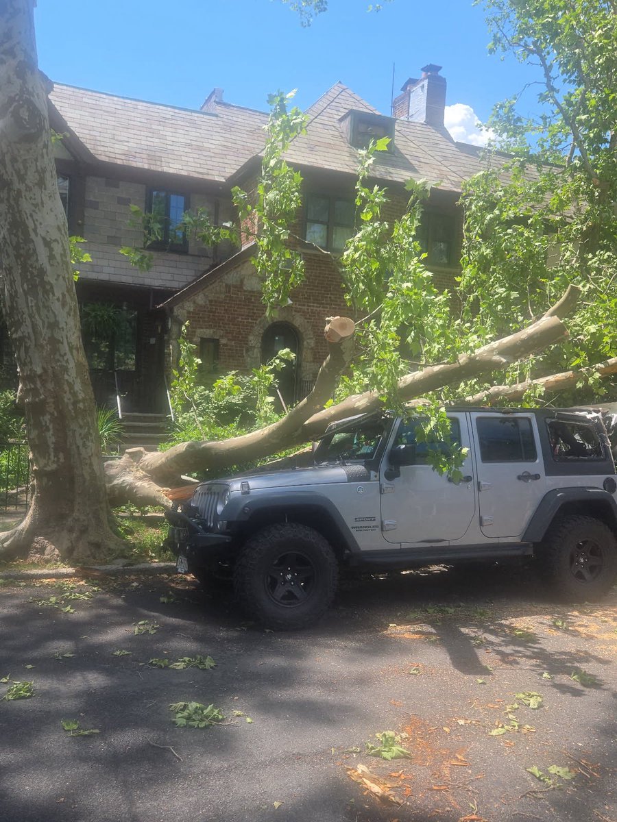 pg3_trinitybx's tweet photo. Already reported these major trees and power lines being down, but haven’t received any response or any action… when is this going to be taken care of?!?
@ConEdison @nyc311

Address: 1801 Seminole Ave, Bronx
@News12BX @ABC7 @NBCNewYork @CBSNewYork https://t.co/mTN3VIfYJR