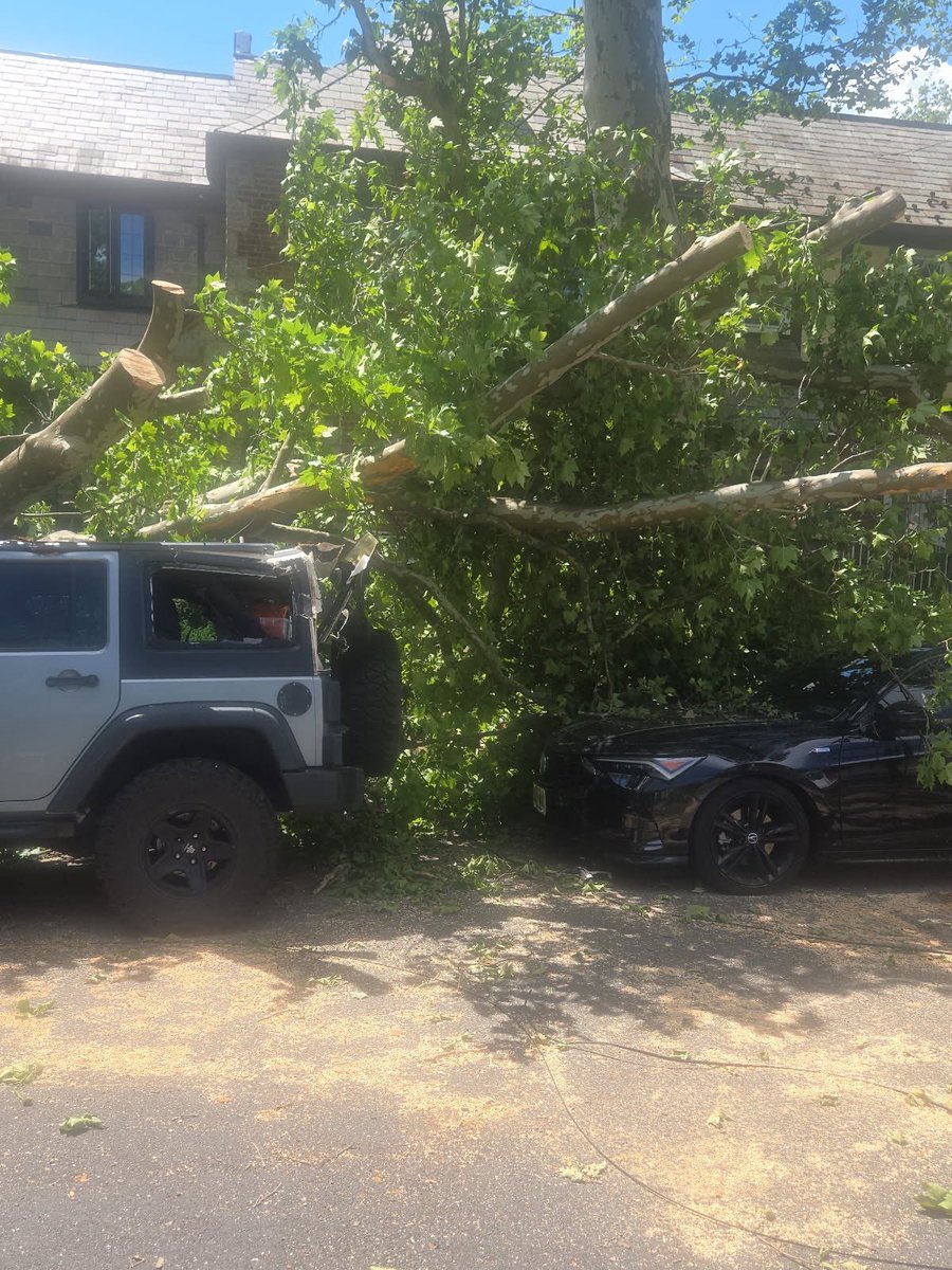 pg3_trinitybx's tweet photo. Already reported these major trees and power lines being down, but haven’t received any response or any action… when is this going to be taken care of?!?
@ConEdison @nyc311

Address: 1801 Seminole Ave, Bronx
@News12BX @ABC7 @NBCNewYork @CBSNewYork https://t.co/mTN3VIfYJR