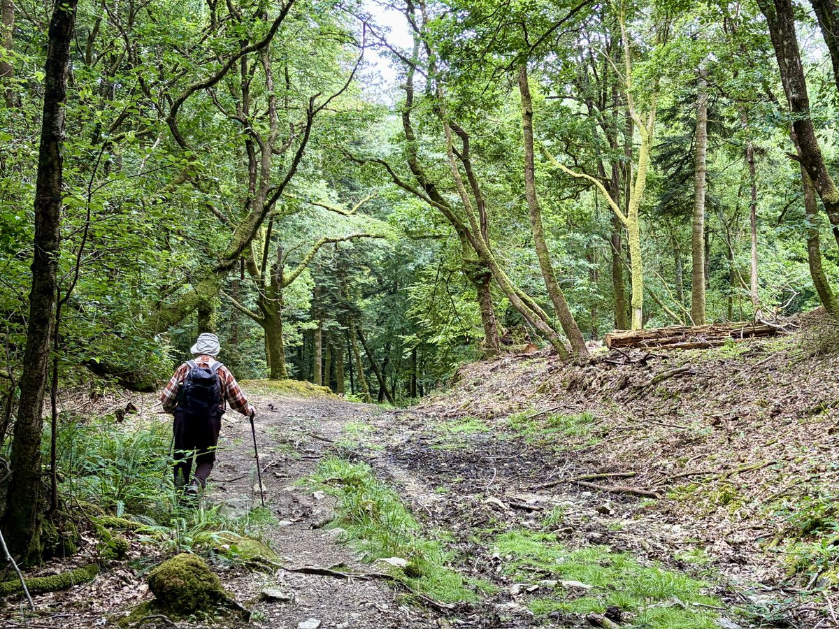 bro_james's tweet photo. Went for a lovely 11 mile hike with Frère Henri a couple of days ago, going out the front door of our community house and setting off on a loop through the hills surrounding our small town of Châteaulin. https://t.co/9TLVbM6so9