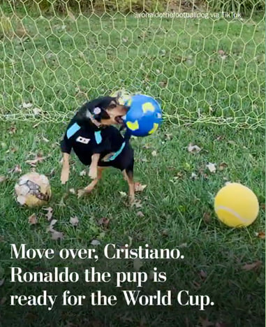 Cielo7f's tweet photo. gamble this one on sol: 7D86jL6ttQd8Rd4nLfgVXKDuEMtEYVqmbWFvtj4M5o8J 

https://t.co/ixWa1ElmdI https://t.co/GAl0N3QLxN