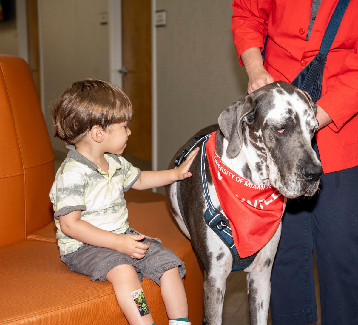 BascomPalmerEye's tweet photo. Last week, our pediatric patients had a very special visitor, Freya the therapy dog! Freya stopped by to share comfort and plenty of tail wags, brightening the day for our patients.🐾 https://t.co/QTYh8ZjvO8
