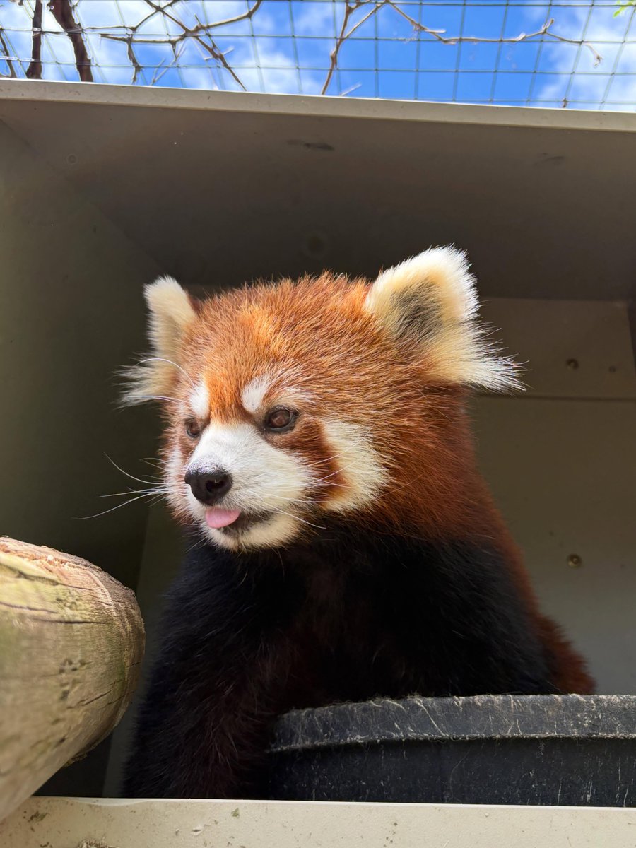 The Toronto Zoo tweet media