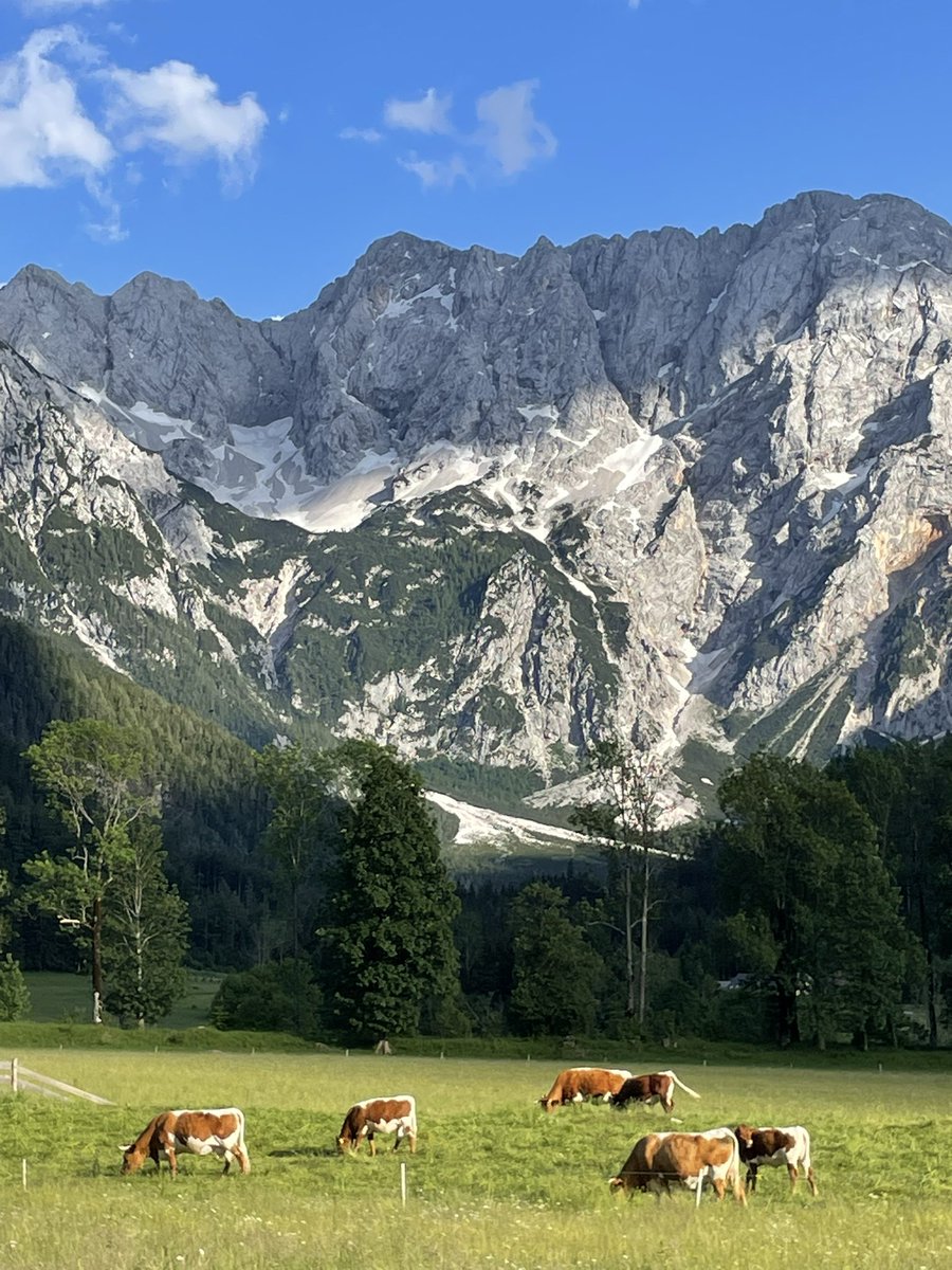 msdiall02's tweet photo. Zgornje Jezeresko , another natural wonder of Slovenia 🇸🇮 🥰 https://t.co/bhLGaH3LKy